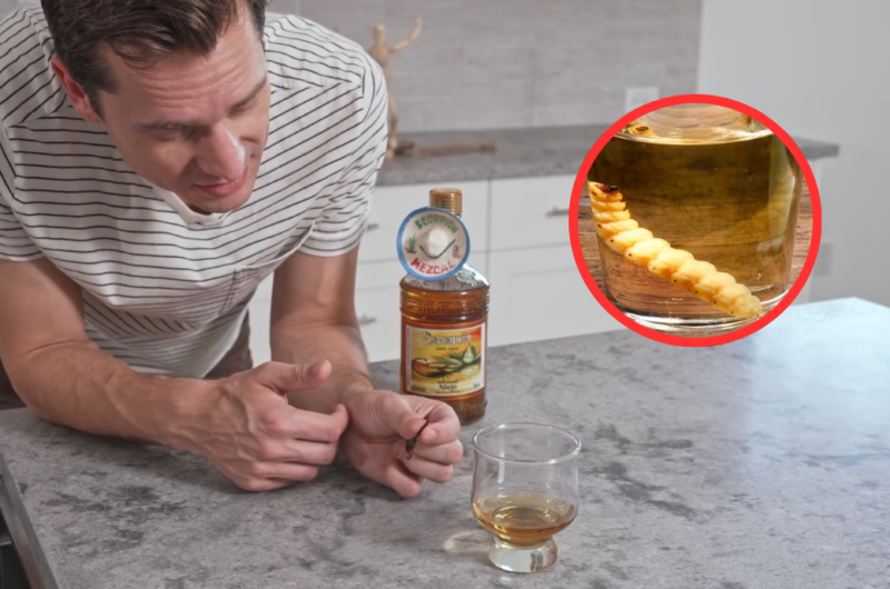 Mezcal with the Worm The Effects, Myths, and Truth Mezcal for Life