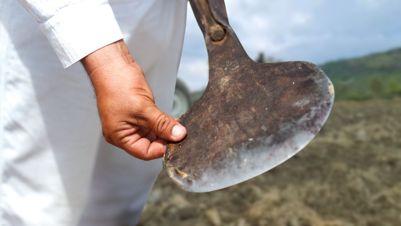 Close-up of a hand holding La Coa De Jima, an agave harvesting tool, featuring a curved metal blade, against a blurred agricultural background