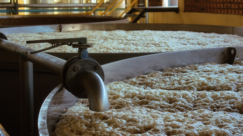 Large open fermentation tanks filled with bubbling agave mash during spirit production