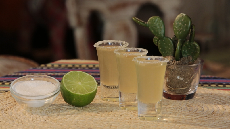 Three salt-rimmed shot glasses with lime and cactus decor, representing mezcal vs raicilla